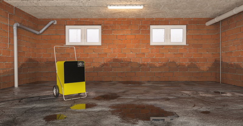 Drying Services